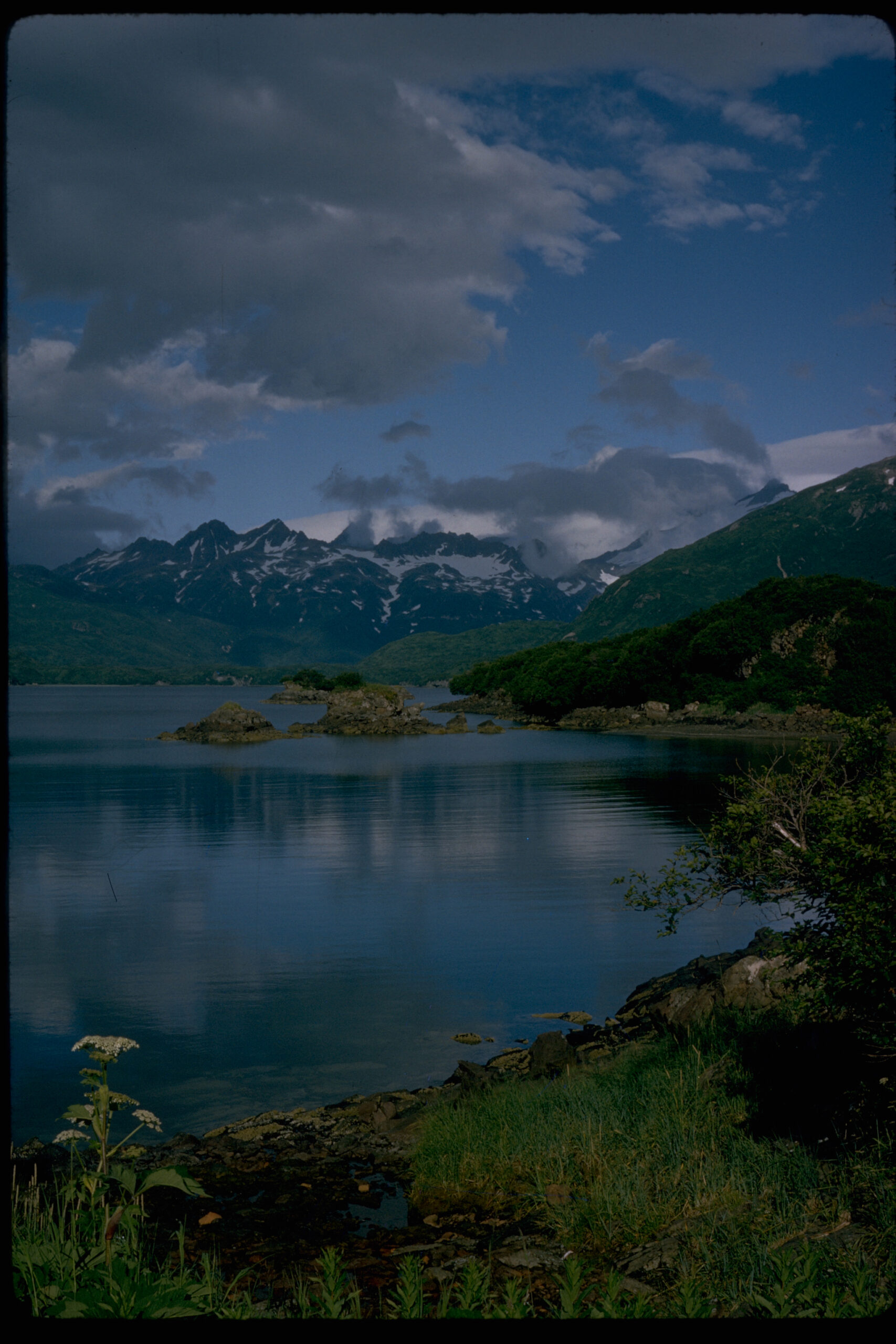 katmai national park float plane