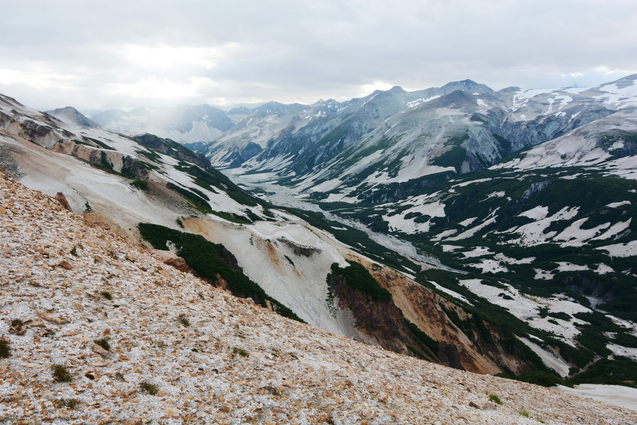 katmai national park bear tour