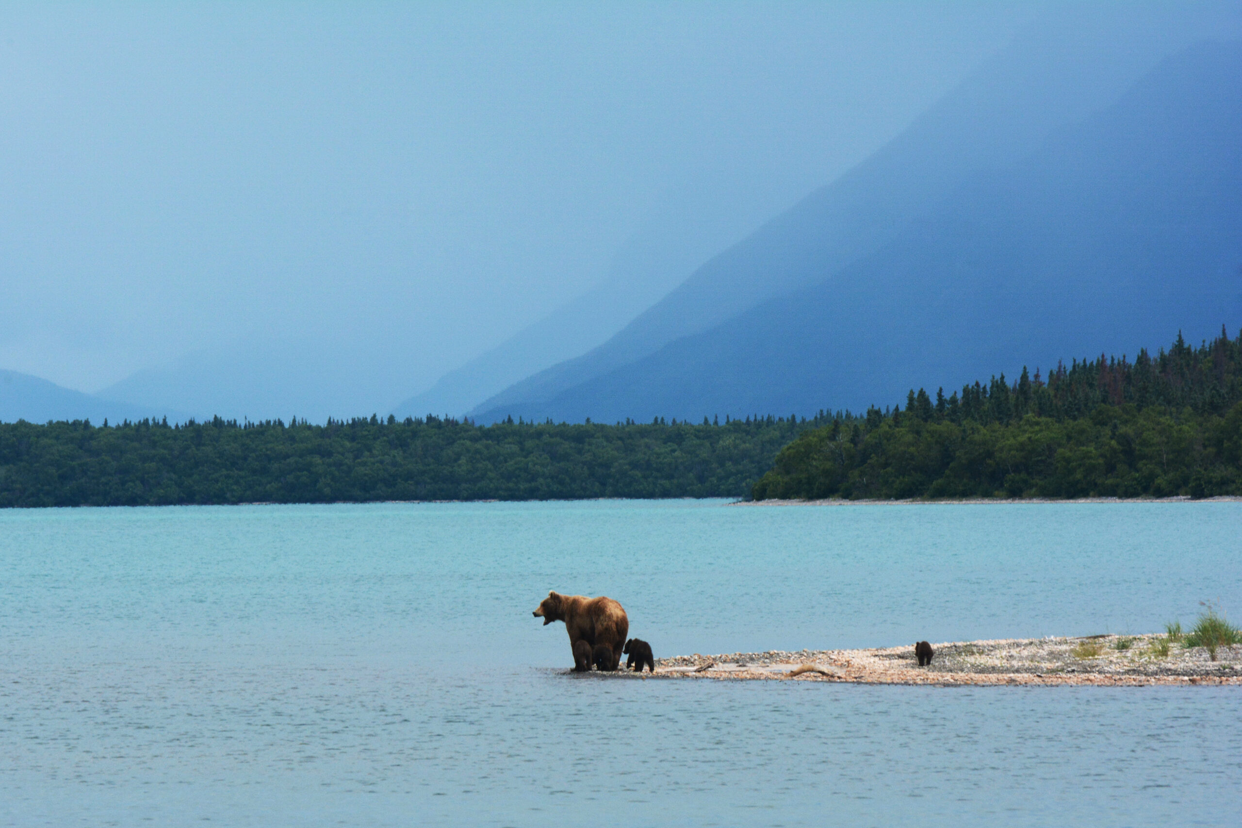 boat tours to katmai national park