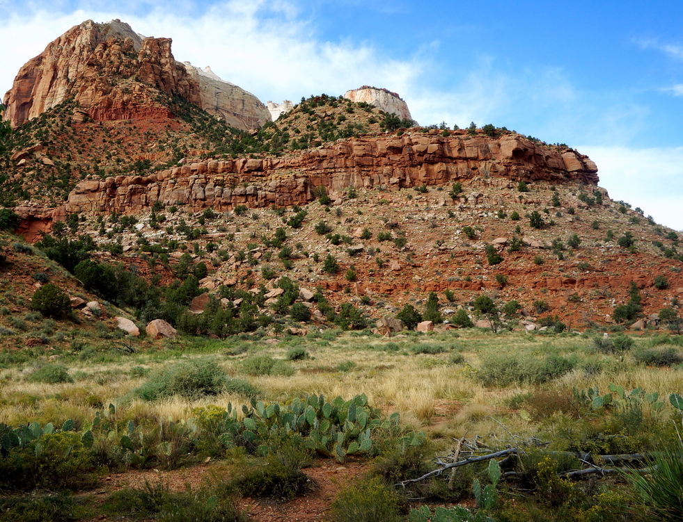 observation point zion trailhead