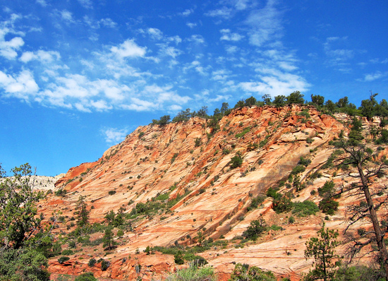 zion national park difficult hikes