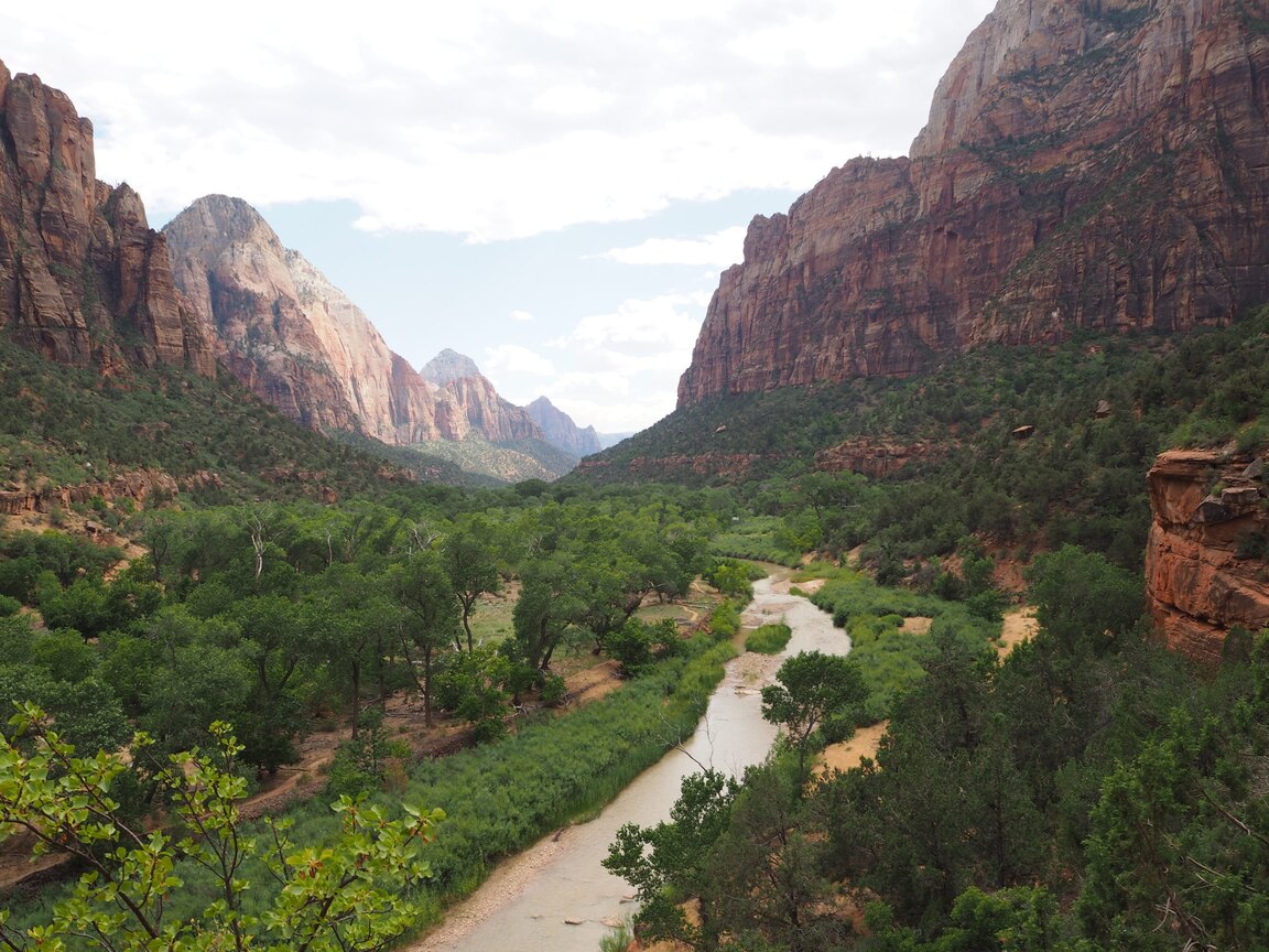 zion scout lookout hike