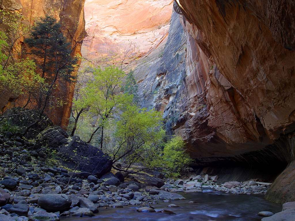 zion subway canyoneering