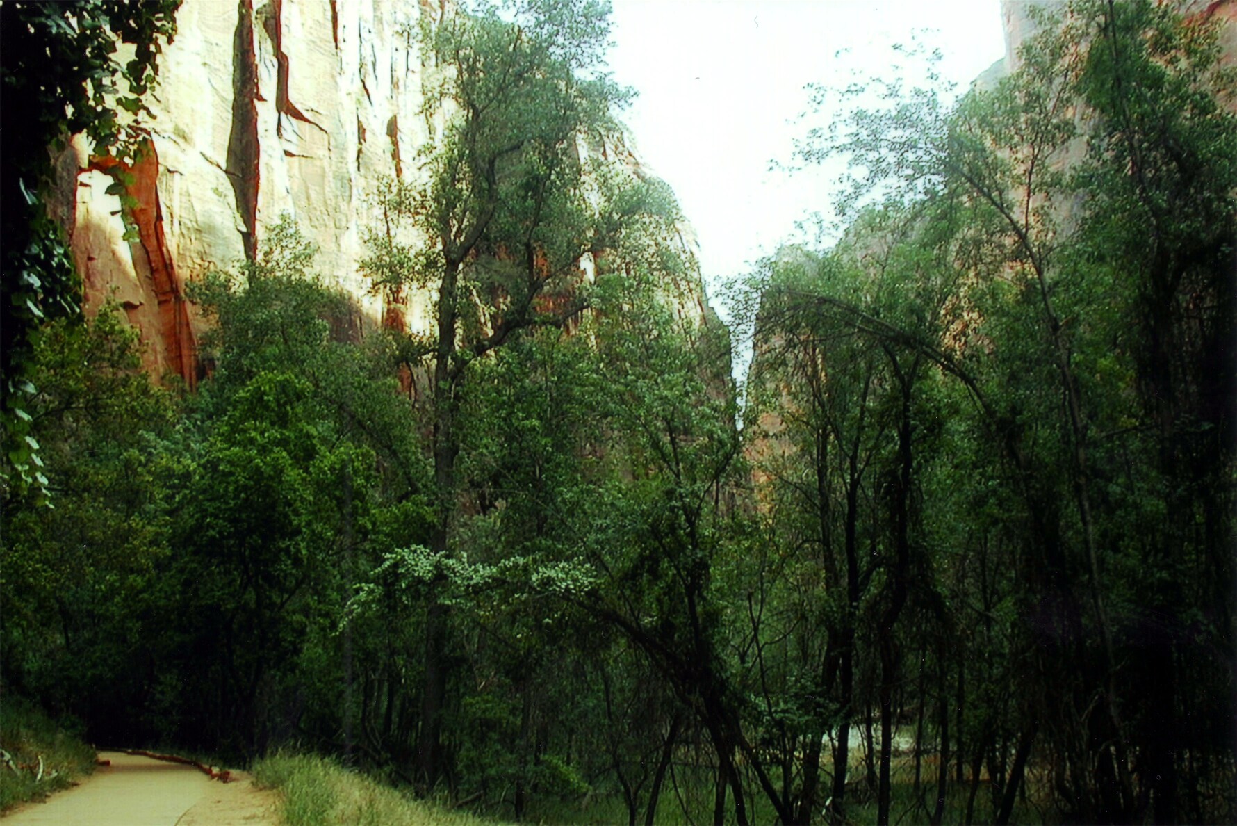 emerald pools zion canyon