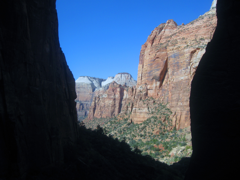 zion national park highest elevation