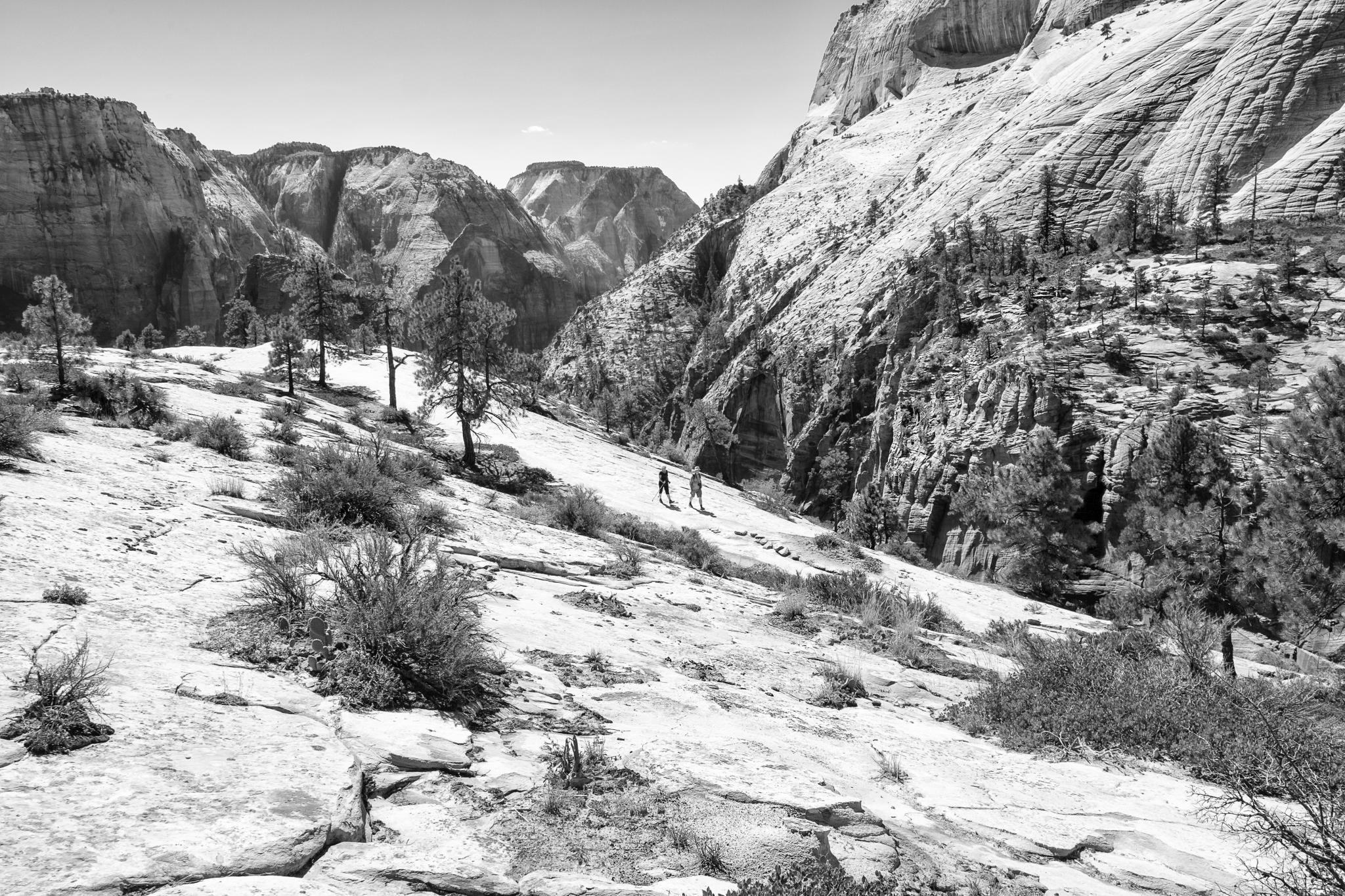 dinosaur tracks near zion