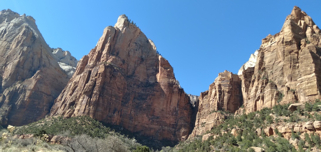 zion national park tree house