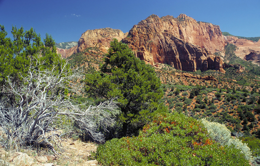 emerald pools zion elevation