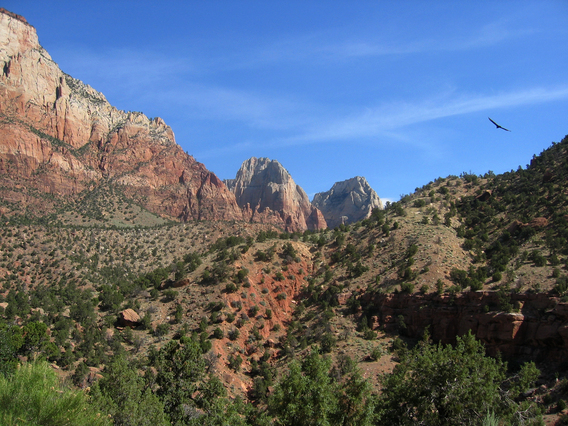 zion national park during spring break