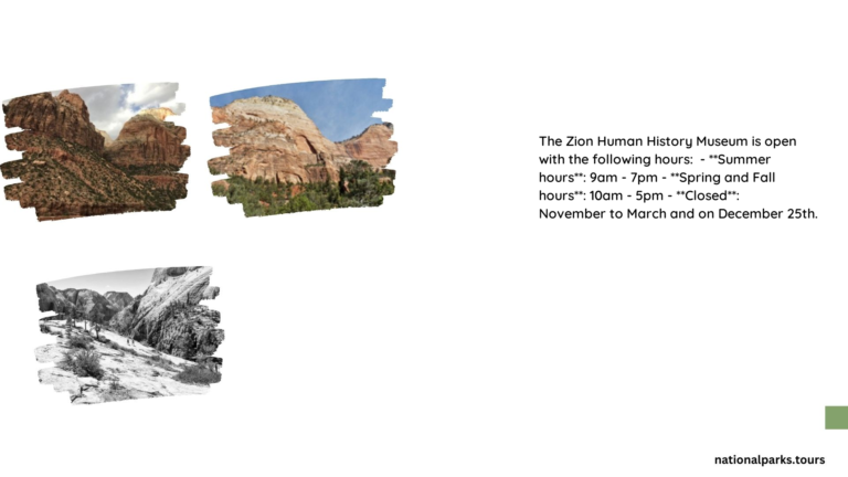 zion museum hours