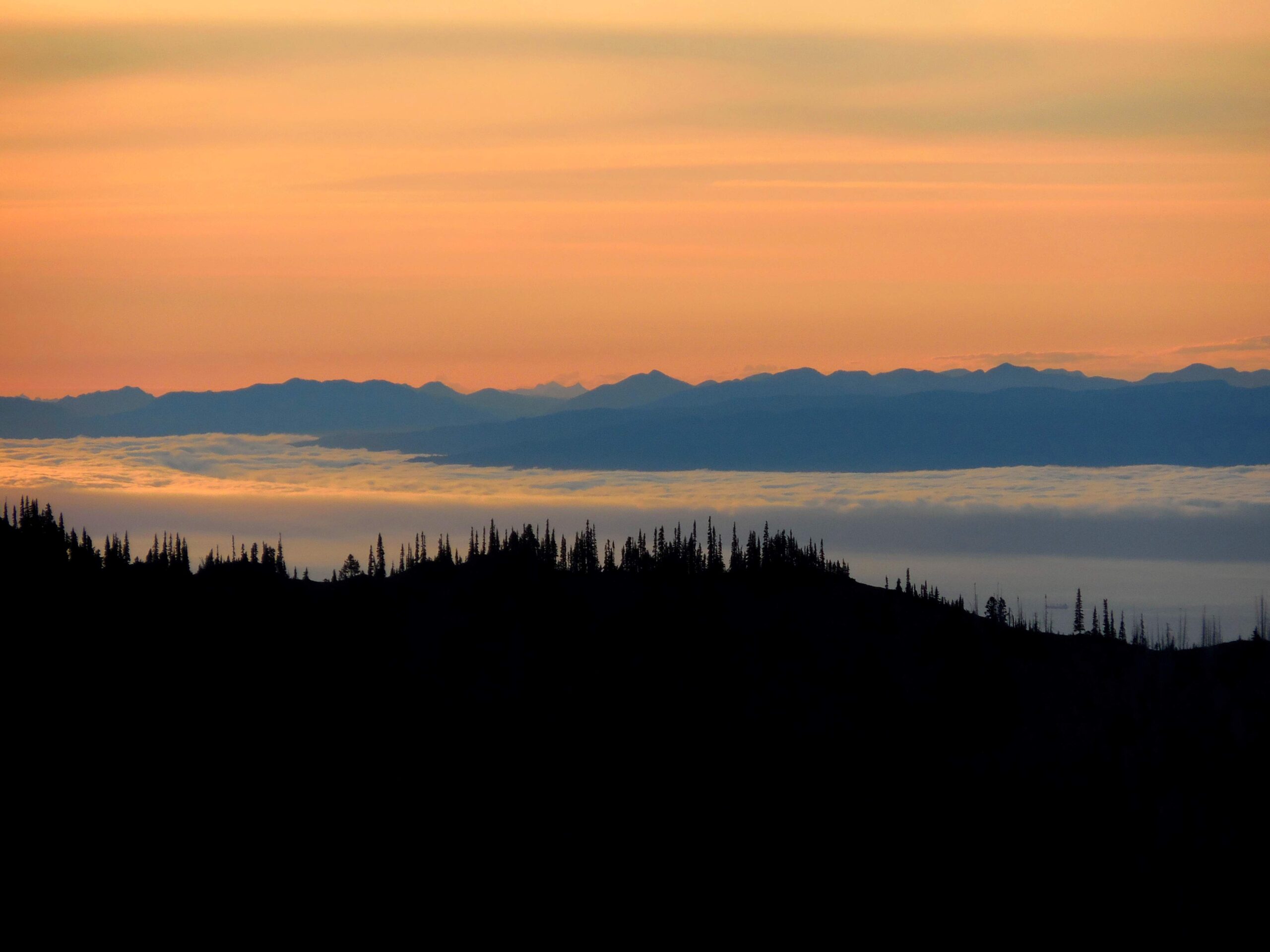 how have people interacted with olympic national park