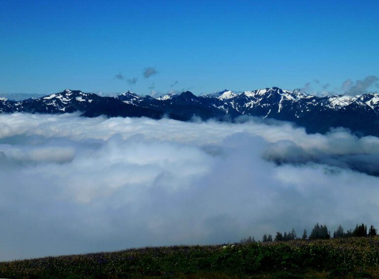 Olympic National Park 14