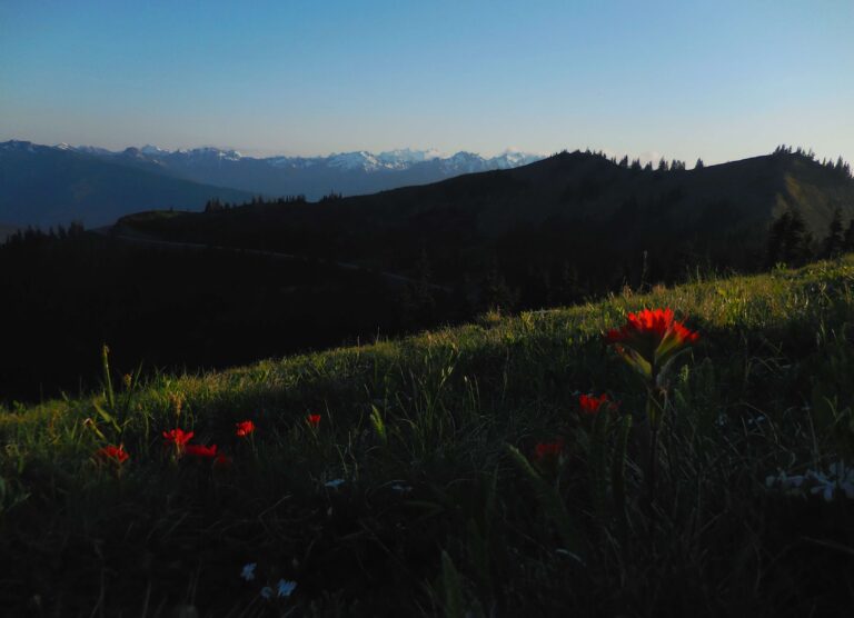 Olympic National Park 20