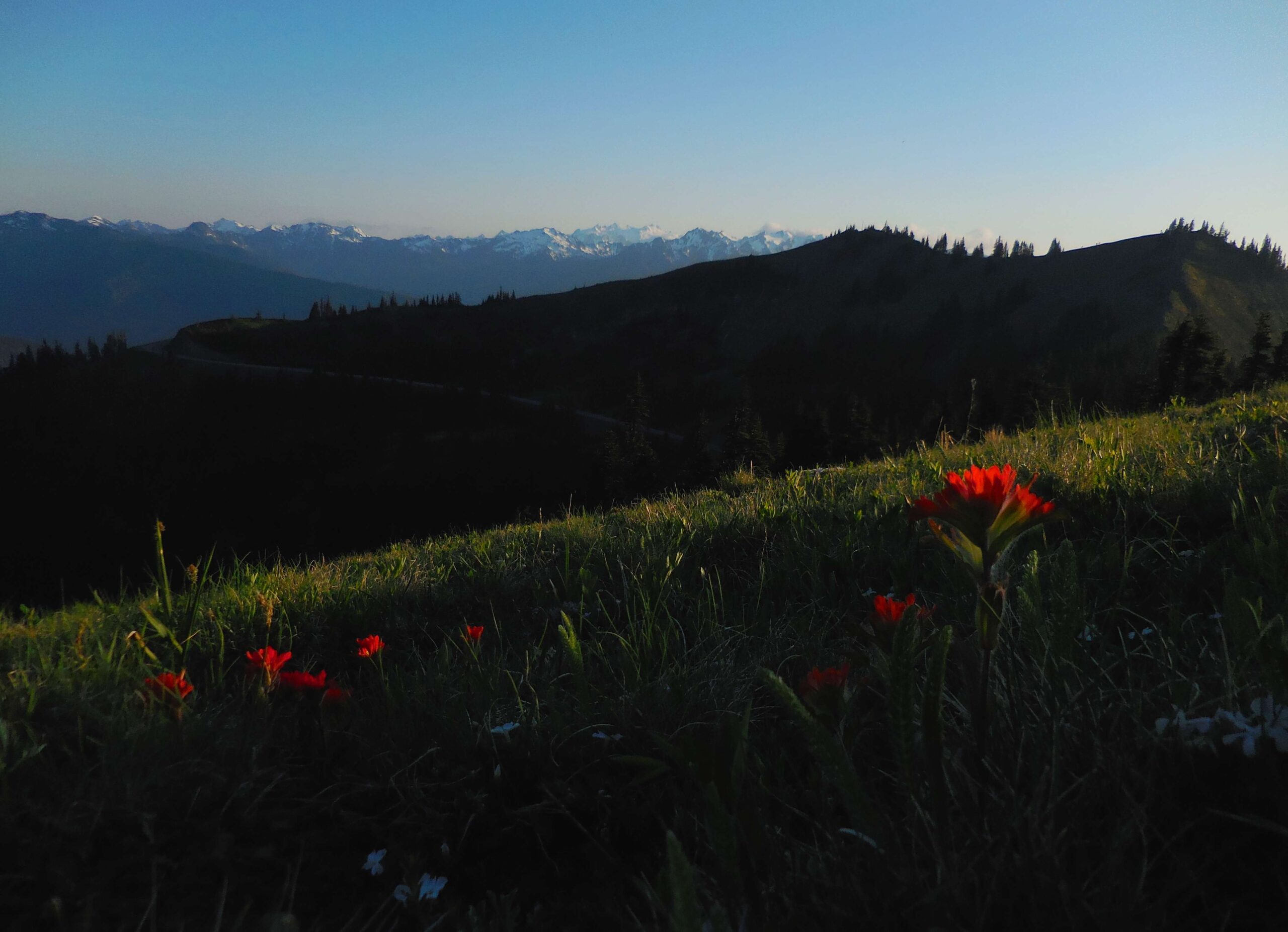 olympic national park current conditions