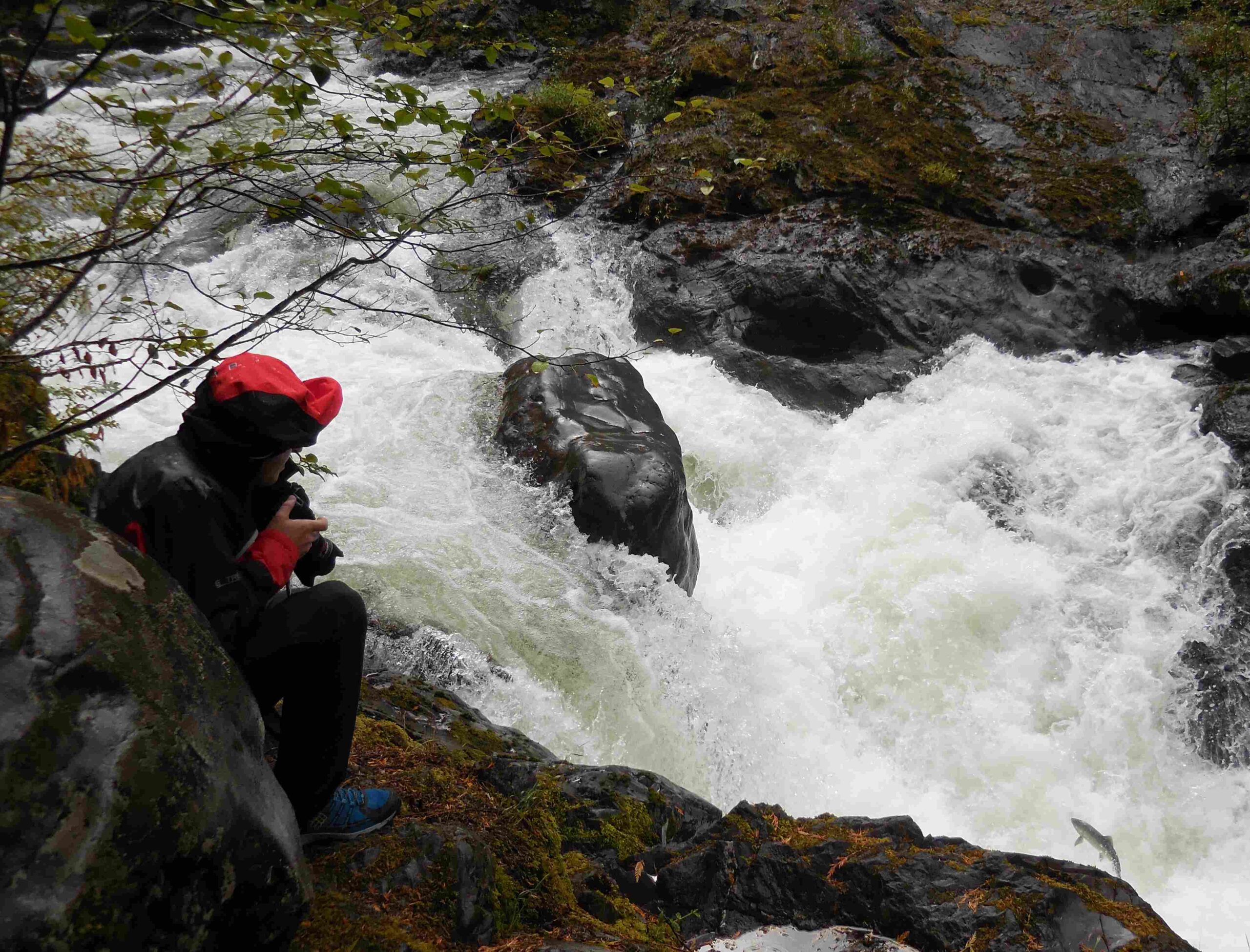 maremeyer falls olympic national park washington