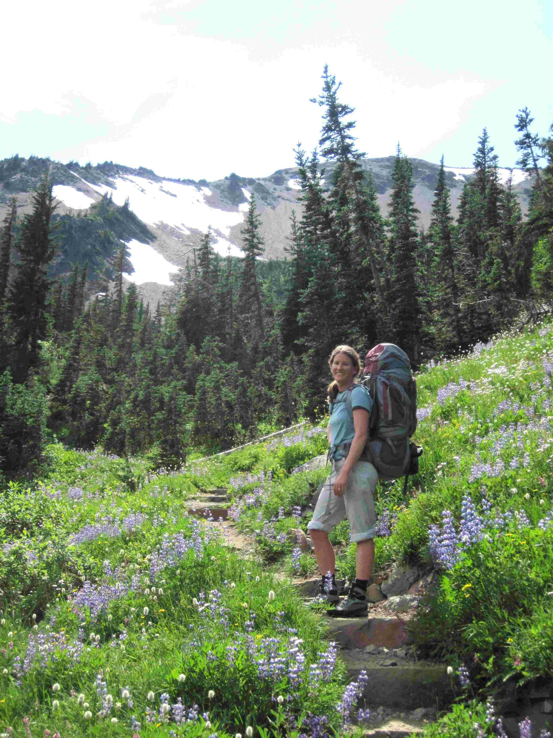 snowy olympic national park washington