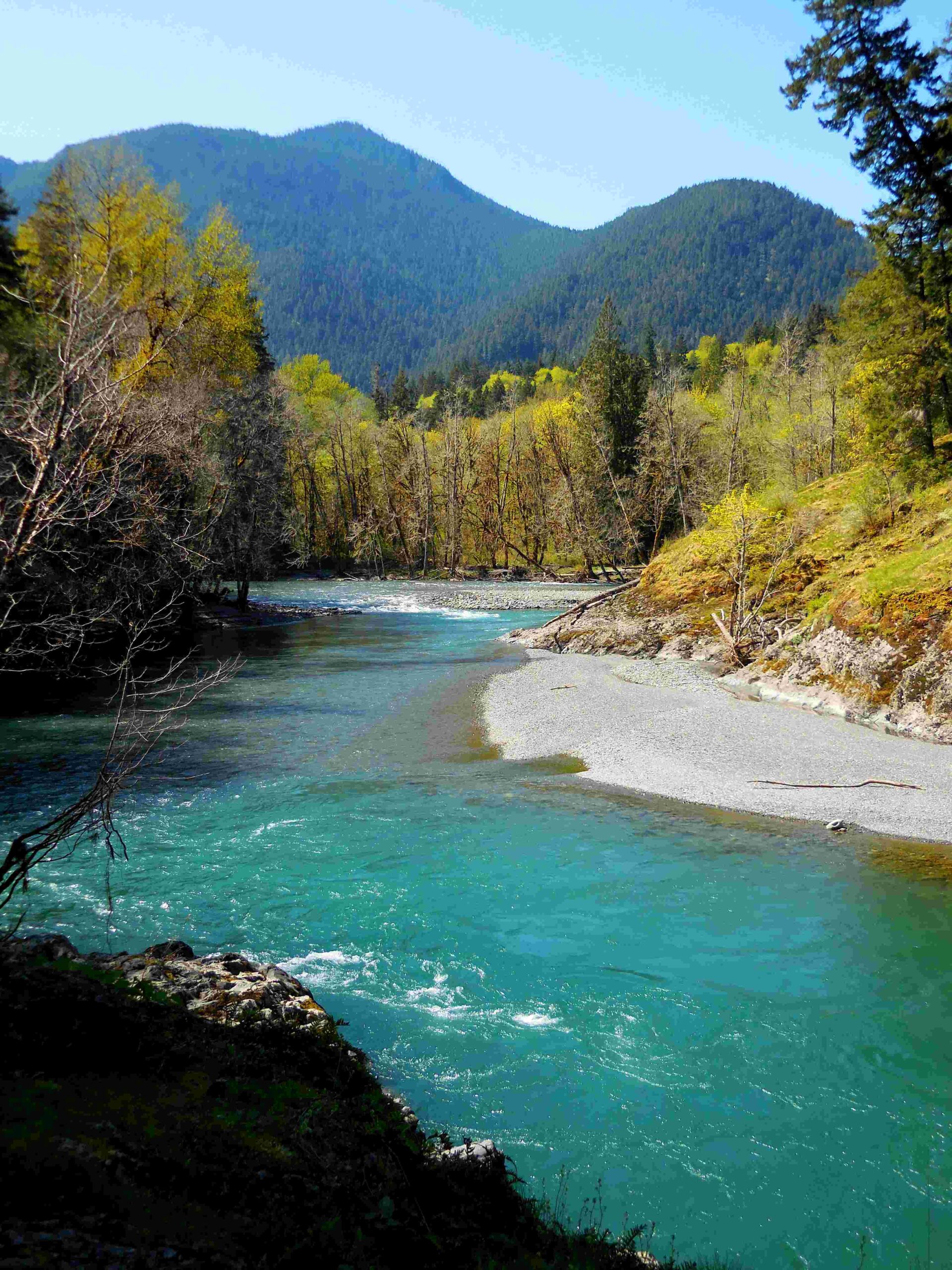 hurricane bridge olympic national park