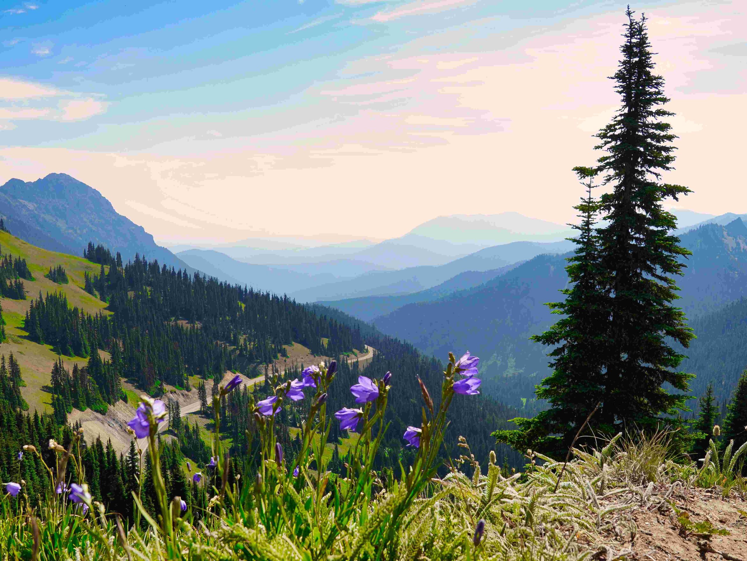 highest spot you can hike to olympic national park