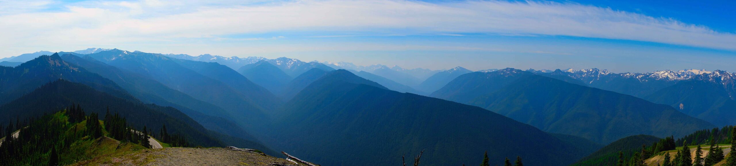 olympic national park van tours