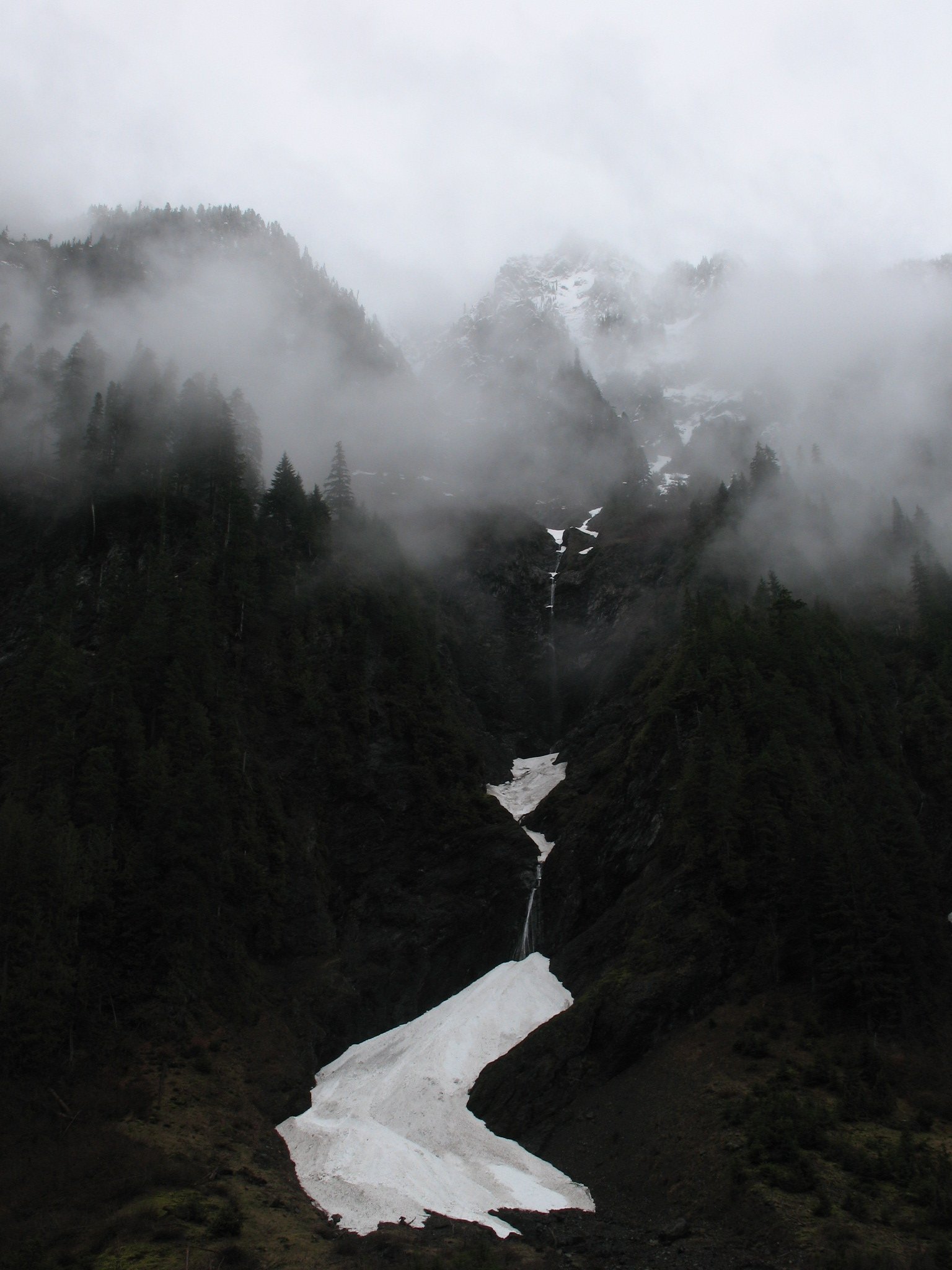 pyrites creek olympic national park