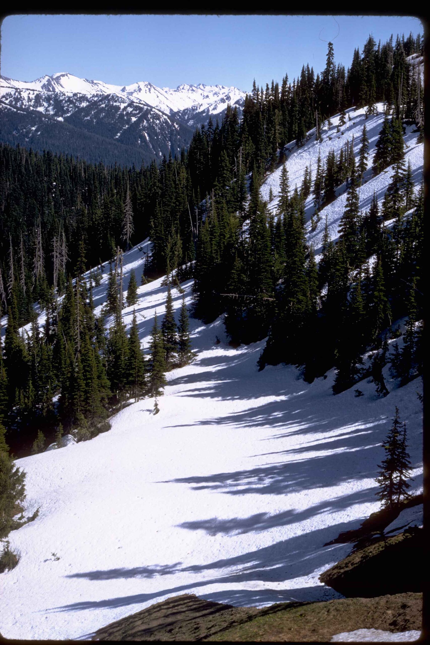 olympic national park mountain names