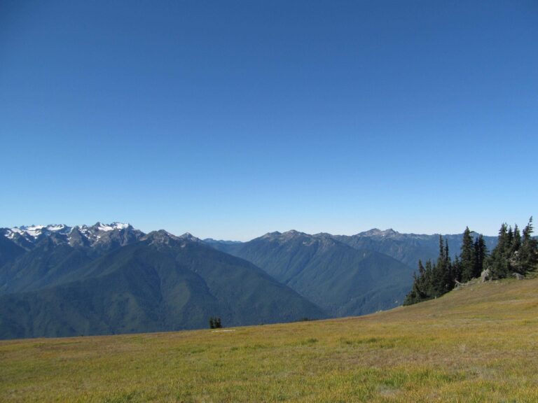 Olympic National Park 4