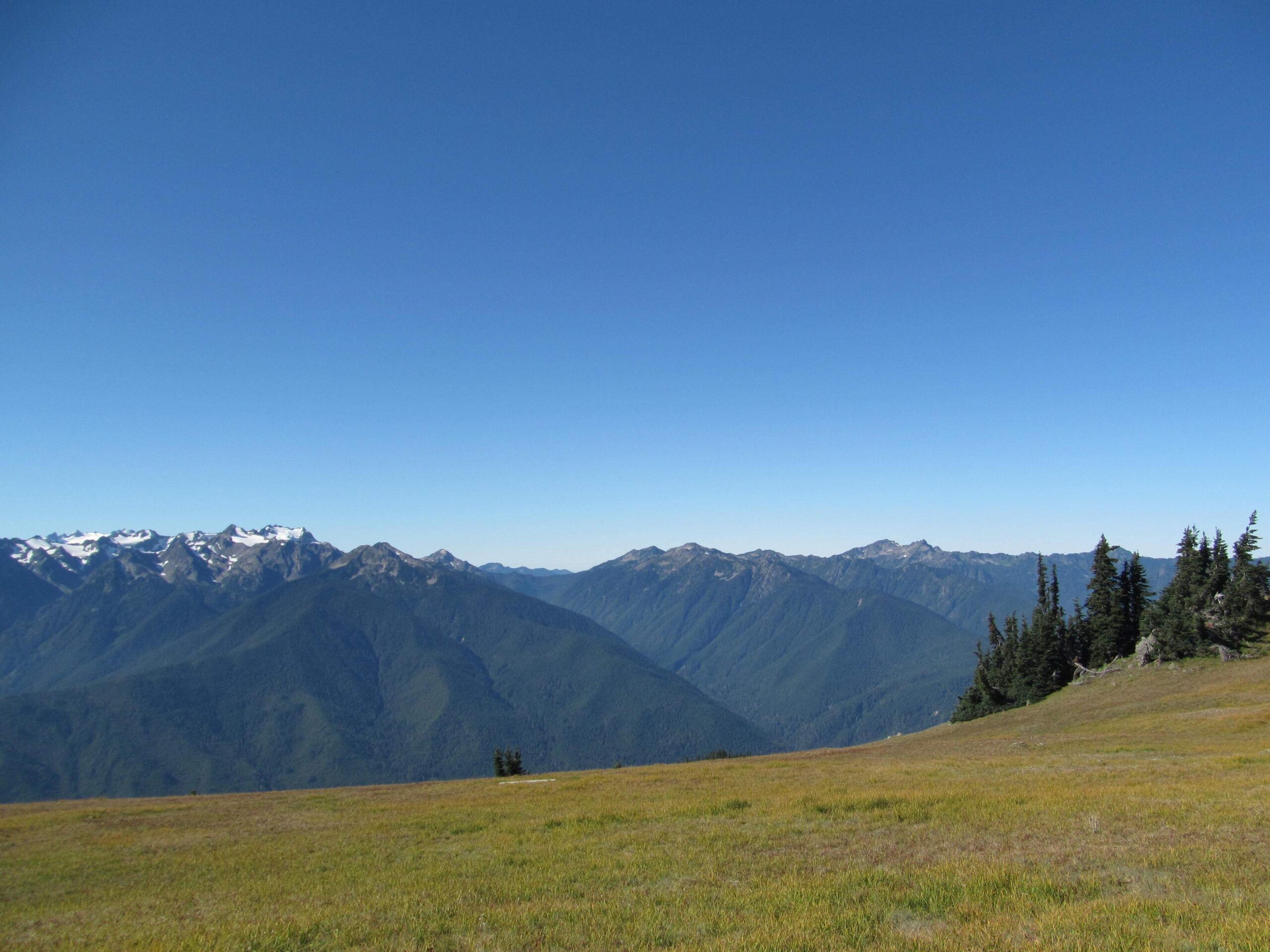 landslide on olympic national park high divide